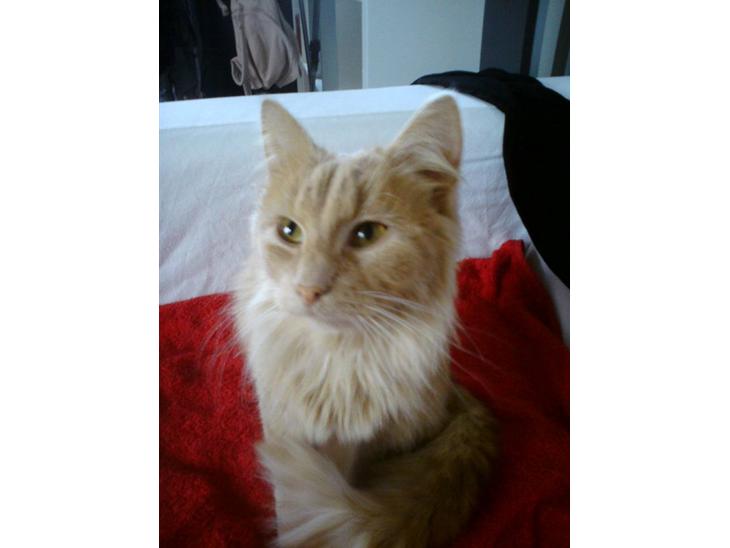 {{currentPhoto.altText}} billede {{currentPhoto.number}}