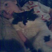 Norsk Skovkat musse (død)