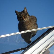 Blanding af racer Makita