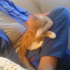 Huskat Seleri<3 (min mors)