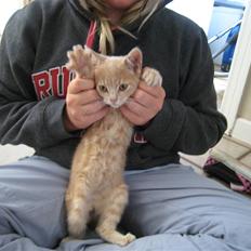 Huskat Bailey (R.I.P d. 10/1 09)