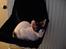 Cornish Rex Timon af Tokkeløkkehus