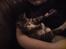 Huskat Nala Musen R.I.P