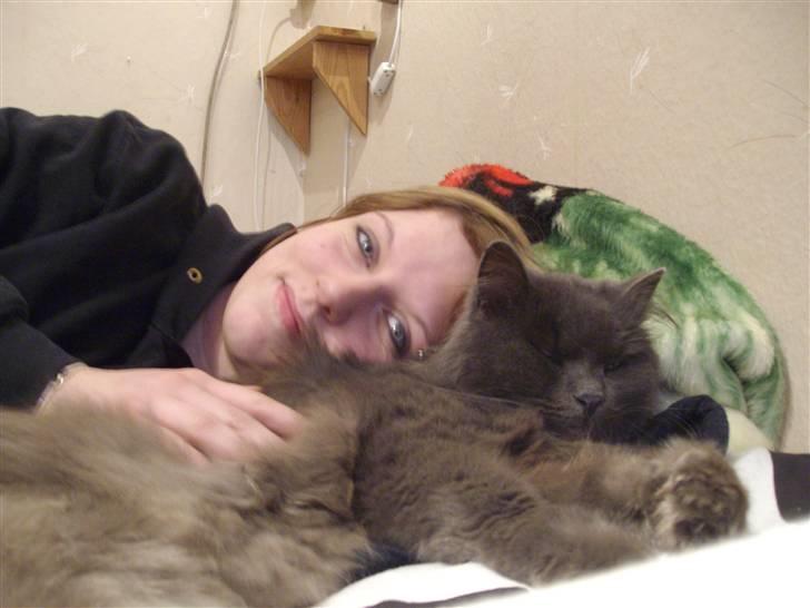 Blanding af racer sofus*sviger forældrenes* billede 8