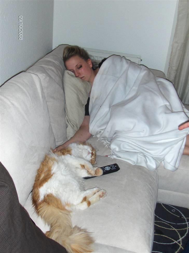 Blanding af racer Ozzy :D billede 12