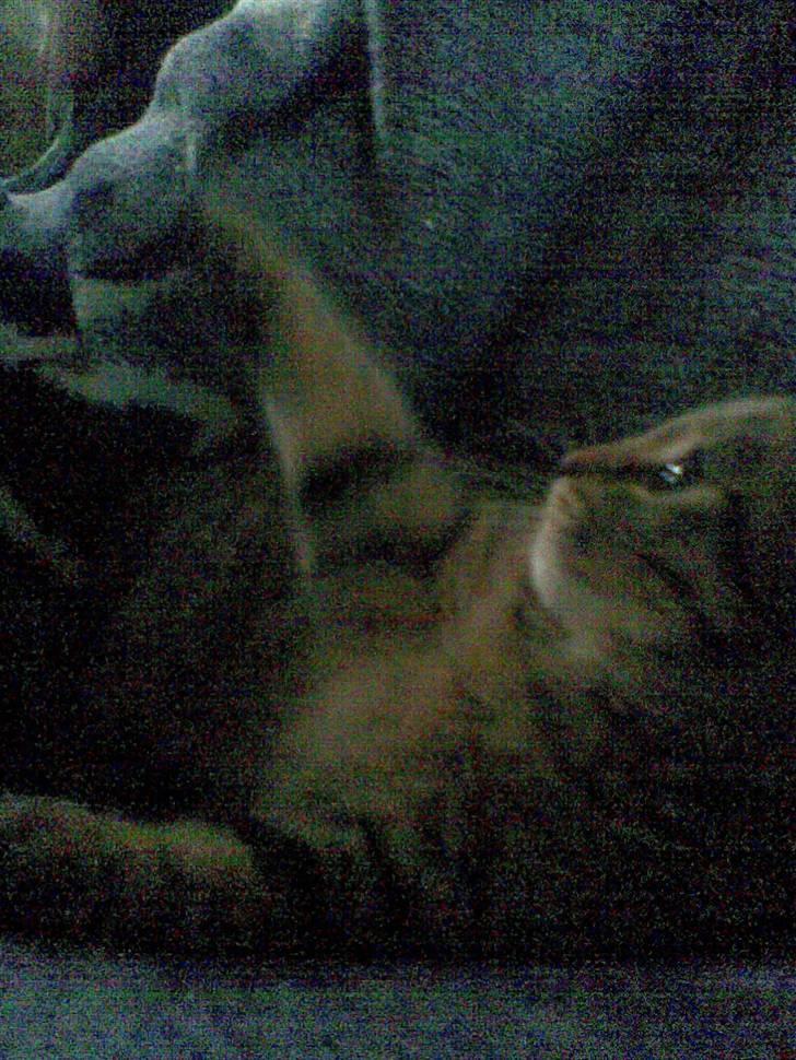 Blanding af racer Makita billede 2