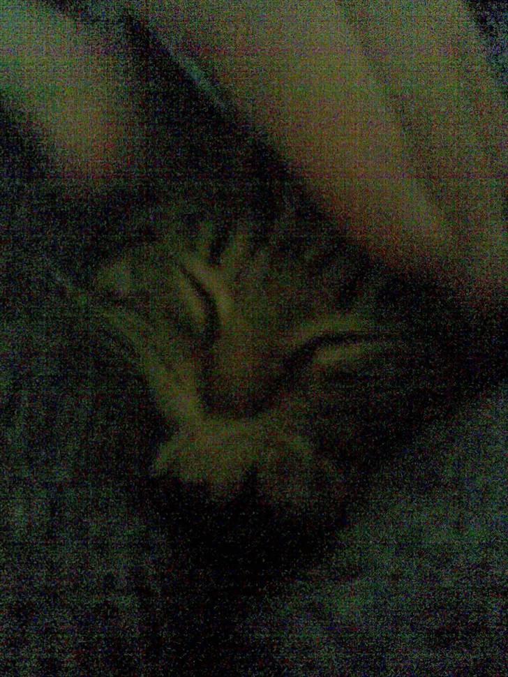 Blanding af racer Makita billede 5