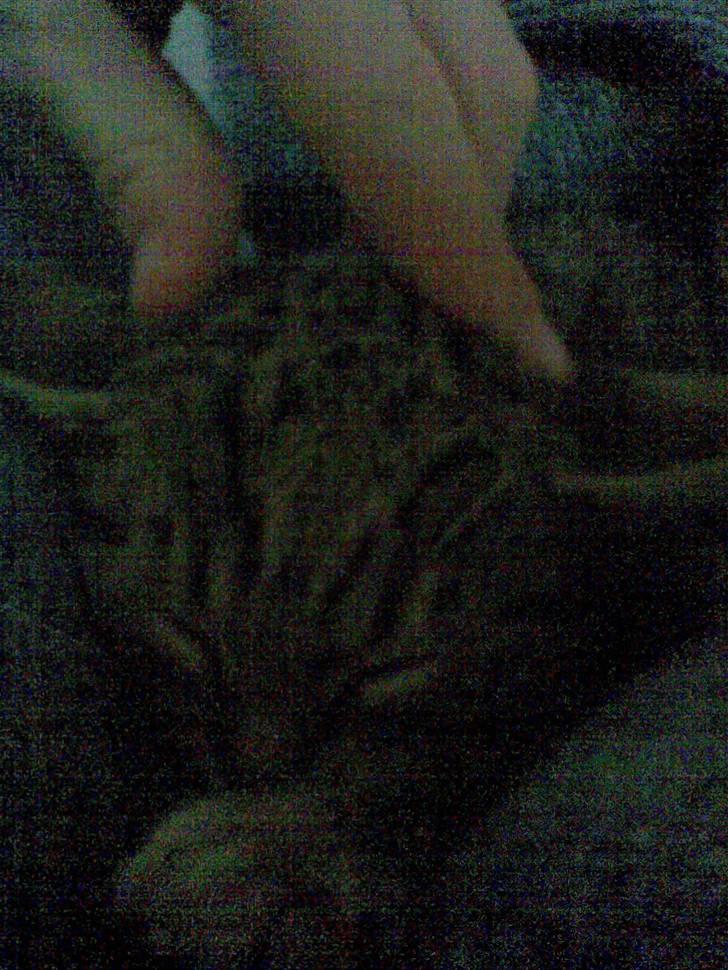 Blanding af racer Makita billede 12