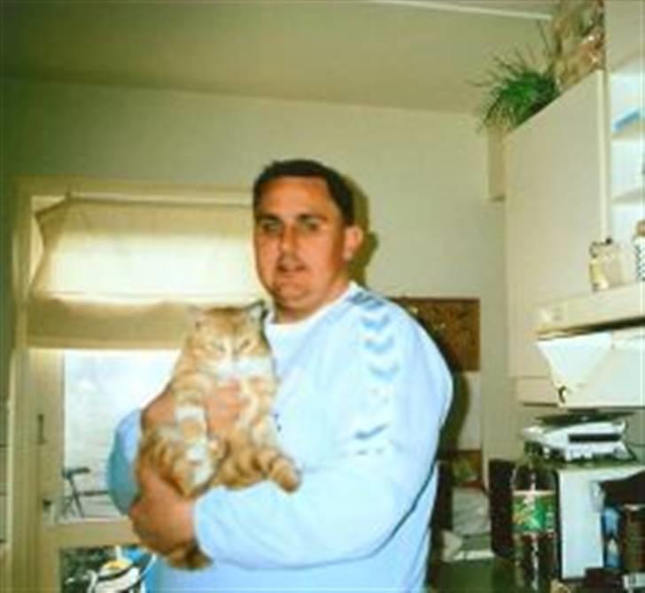 Blanding af racer Futte billede 5