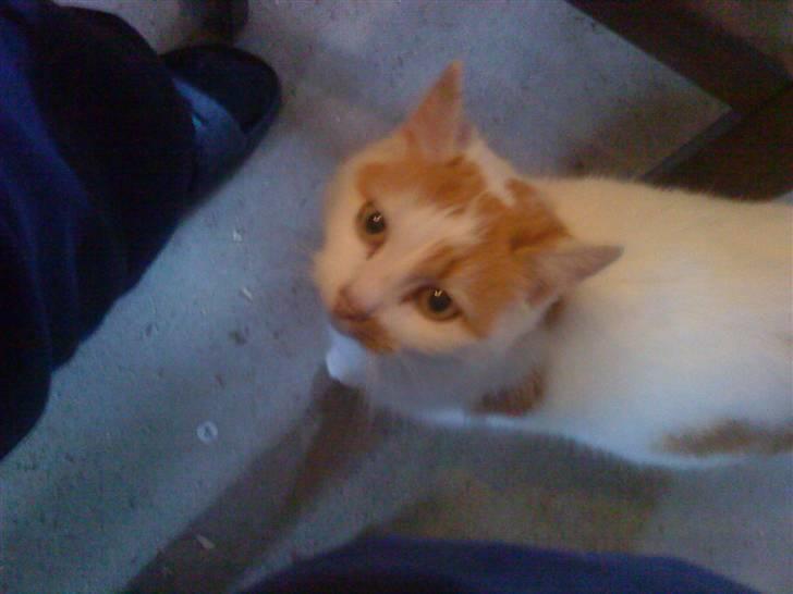 Huskat Trunte<3 - Jeg holder øje med dig mor... billede 1