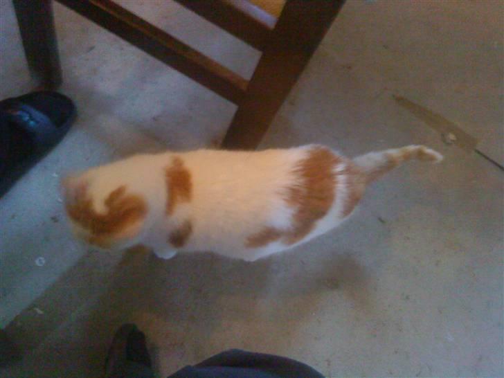 Huskat Trunte<3 - Se mine aftegninger hva sys i?:) billede 3