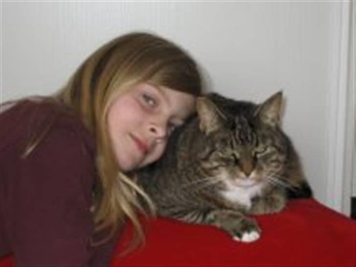 Huskat                      Bubu - Elsker den pude, har ligget rigtig meget på den :D billede 8