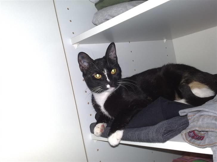 Huskat Tila billede 13