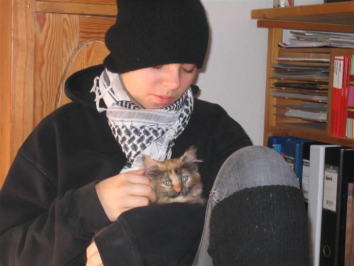 Blanding af racer Krydder billede 19