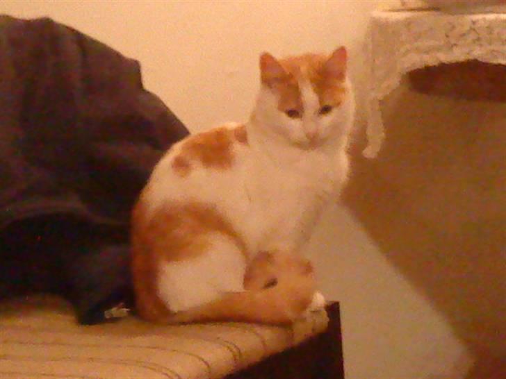 Huskat Sky<3 (min mors) billede 7