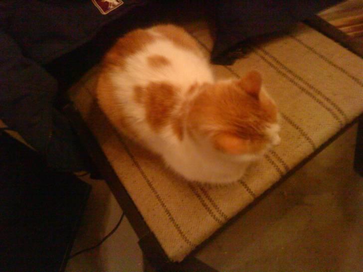 Huskat Sky<3 (min mors) billede 8