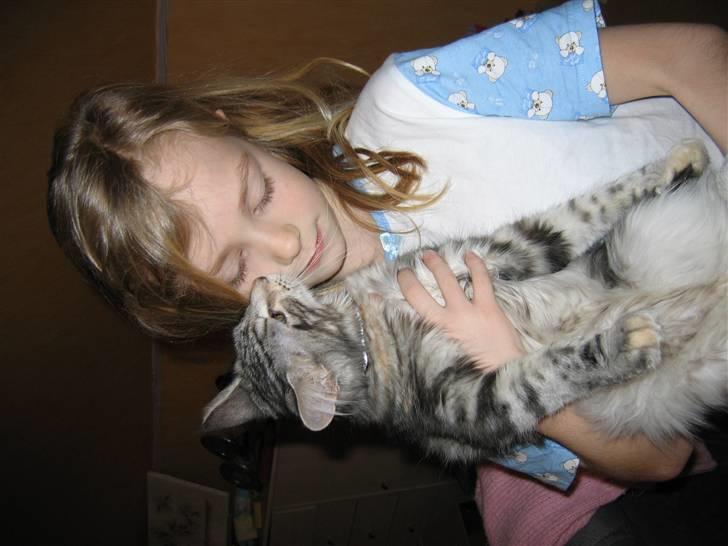 Maine Coon Liluu - Liluu og Celina billede 9