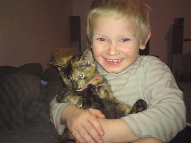 Huskat Luske billede 16