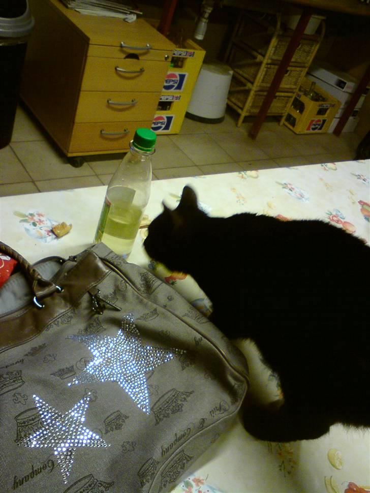 Huskat Sorte-per - sodavand, uuuh :D billede 6