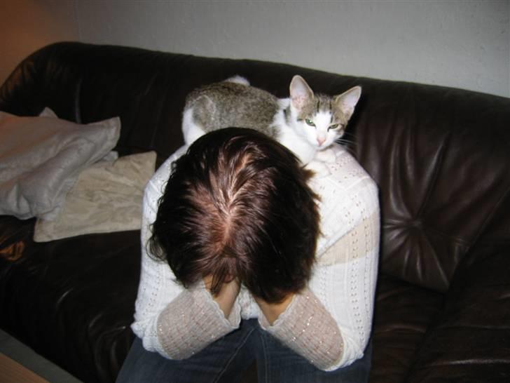 Huskat Buller aka. Muggermis - Buller som killing. billede 8