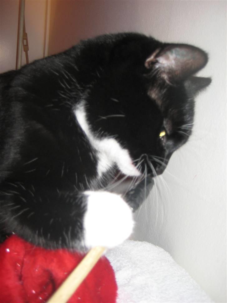 Blanding af racer Olivia - Hun synger singstar.. "Show me the meaning" af Backstreet boys.. haha BEDSTE SKUD billede 11