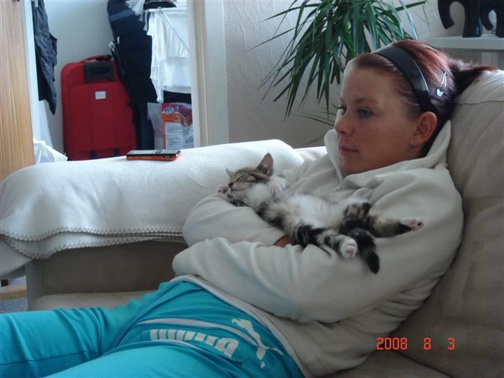 Huskat Mille - elsker at putte i sammen med mor :) billede 4