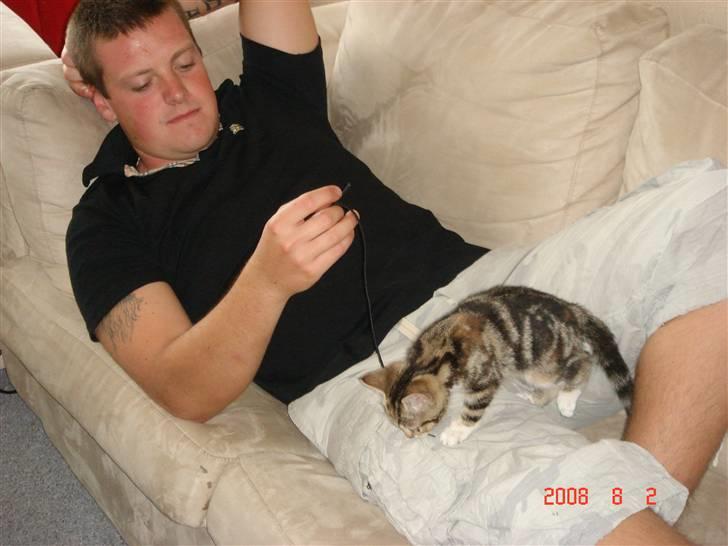 Huskat Mille - det er nu hyggeligt at lege sammen med far .. billede 9