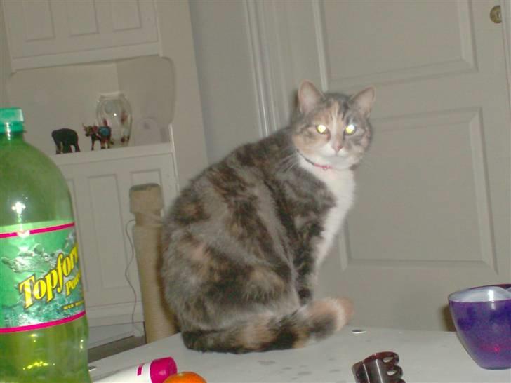 Blanding af racer astrid - ups når jaa må iikke side på borrt hvor er jeg du hihihih billede 3