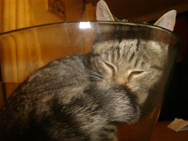 Blanding af racer Makita billede 18