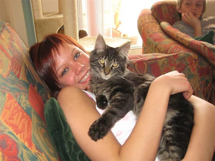 Maine Coon Gaby - Det dejligt at ligge sammen med mor (: billede 2