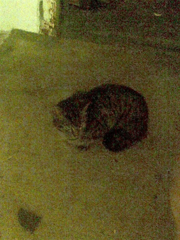 Huskat guffe(væk) billede 1