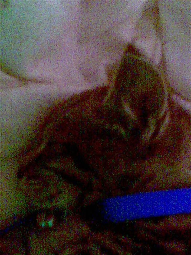 Huskat guffe(væk) billede 3