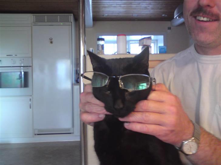 Huskat Sambo =') - jeg har ikke brug for briller:b billede 9