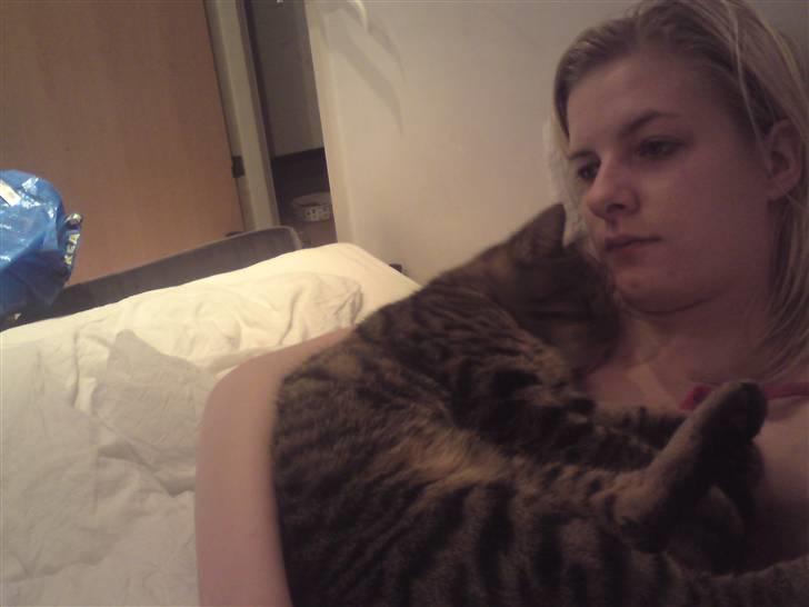 Huskat loui billede 7