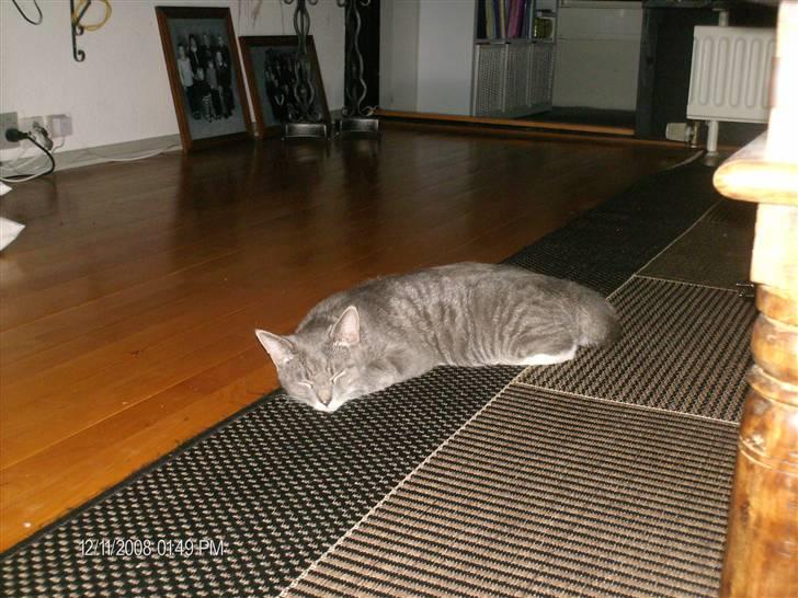 Huskat oskar...<''3 billede 3