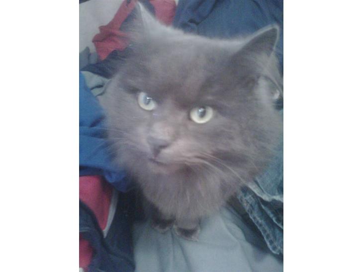 {{currentPhoto.altText}} billede {{currentPhoto.number}}