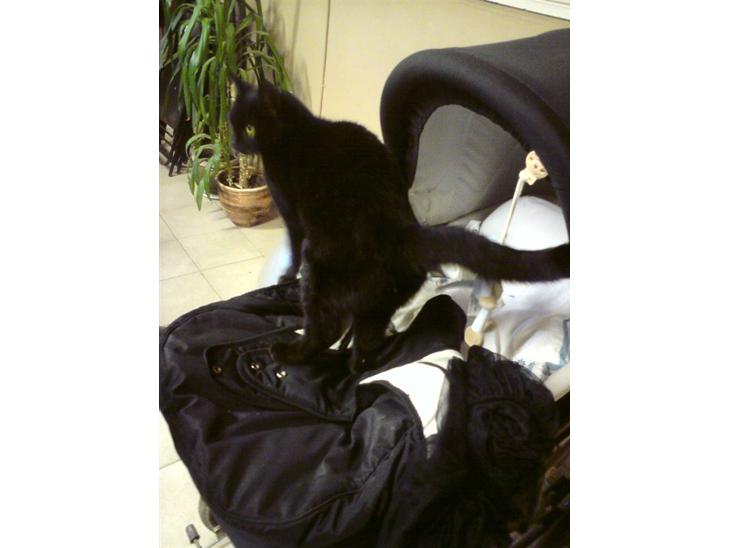 {{currentPhoto.altText}} billede {{currentPhoto.number}}