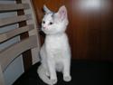 Huskat Lille My >Solgt<