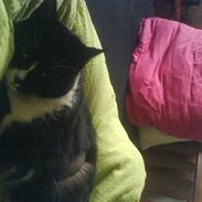 Huskat Oli speciel:D