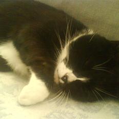 Huskat Oli speciel:D