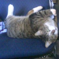 Blanding af racer Charlie