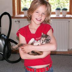 Maine Coon Søsser<'3