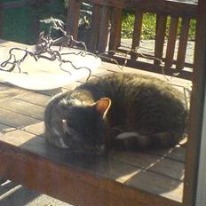 Blanding af racer Karla