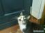 Huskat Nicki<3