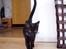 Huskat Mowgli - Mowgli 4 mdr og 11 dage...