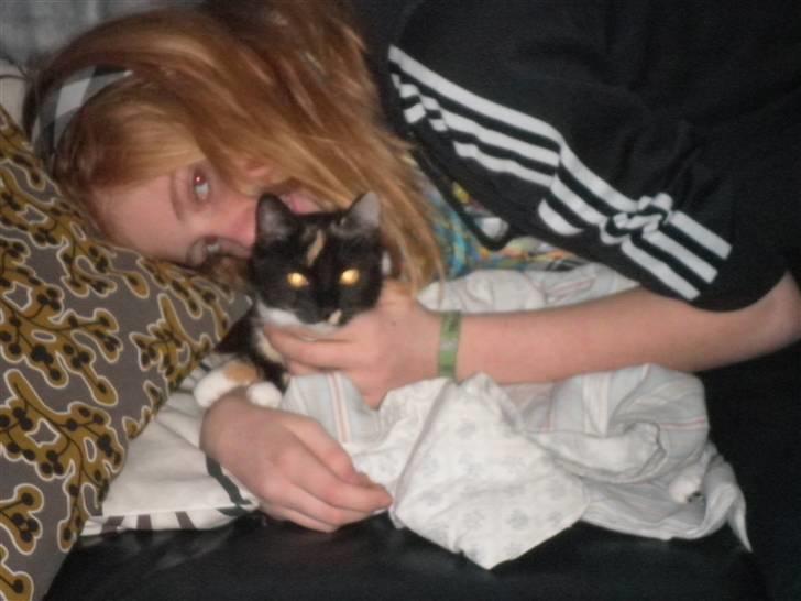 Huskat FredeBo's TulleRosa - lille Rosa skulle trystes pågrund af nytårslaremen <:) billede 2