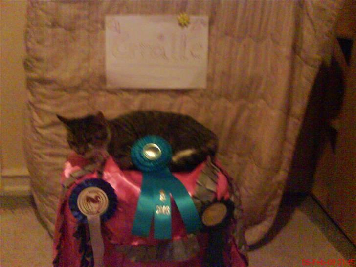 Huskat Grålle<3  billede 4