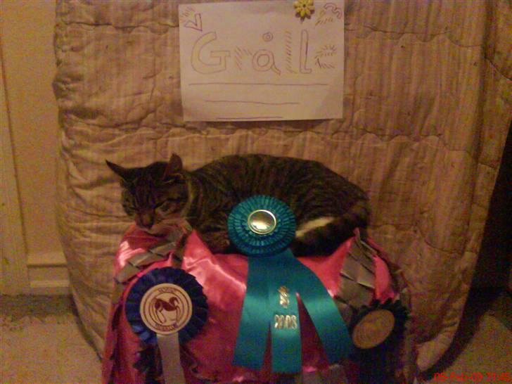 Huskat Grålle<3  billede 5