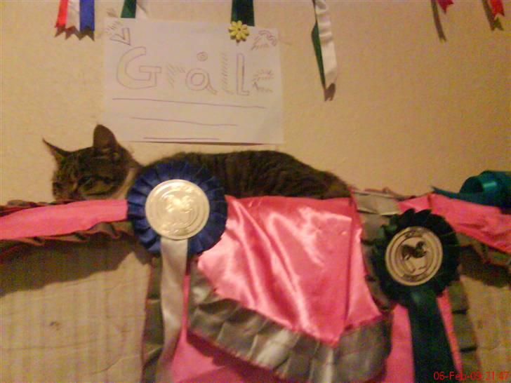 Huskat Grålle<3  billede 7