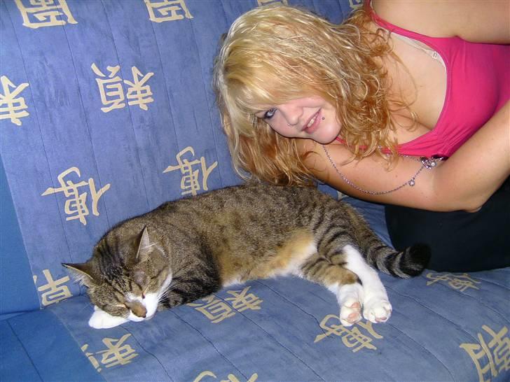 Blanding af racer Charlie billede 8